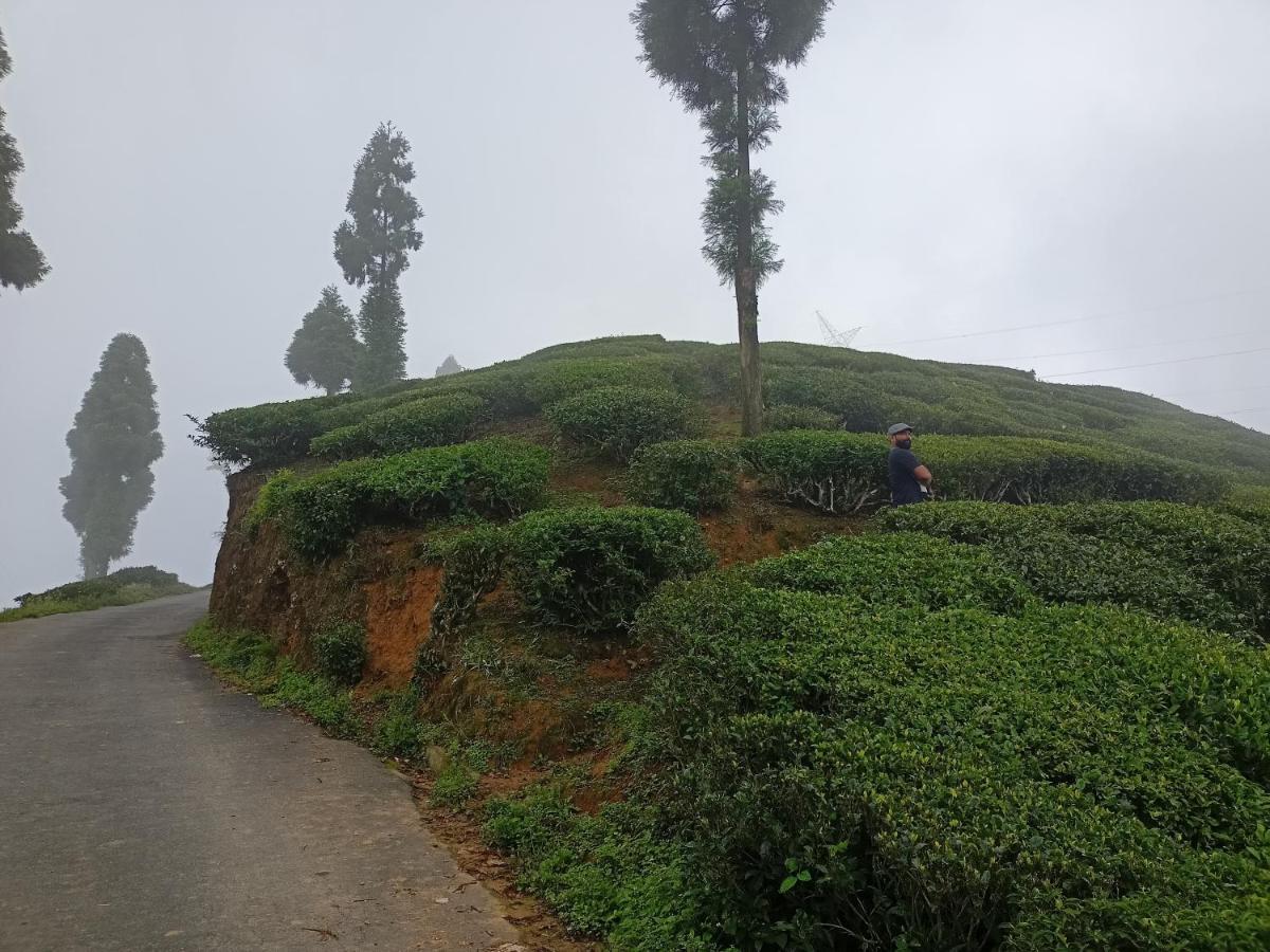 Theeng'S Homestay Mirik Екстер'єр фото